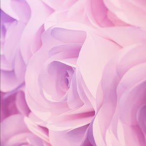 Meet your Posher, Diellza